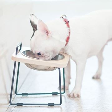 Picture of 拍拍 原木寵物碗托高架（楓木）- 中小型犬專用