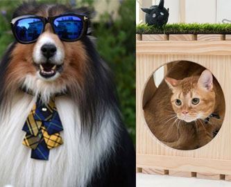 Picture for category Pet Supplies