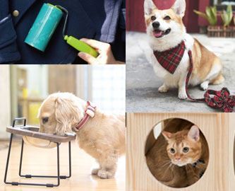 Picture for category Pet Supplies